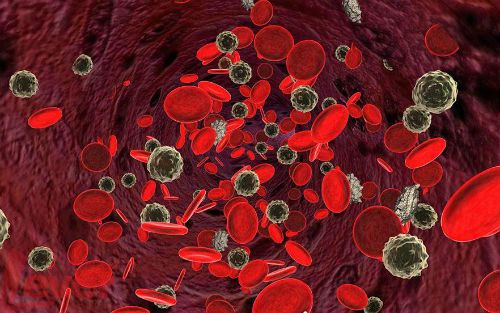 液态活检ctc怎么做,活检是ctc吗