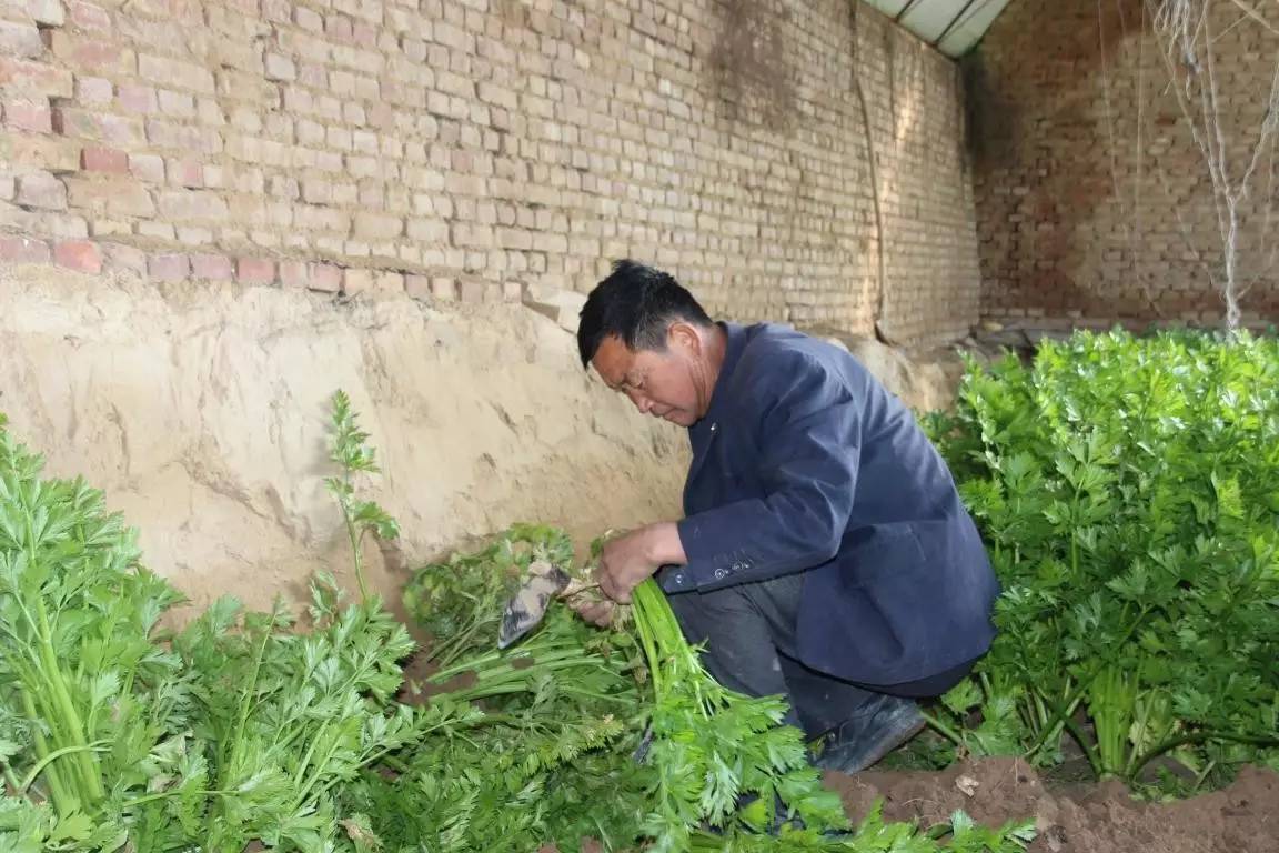 走基层贵在走心,走在乡村振兴的大路上