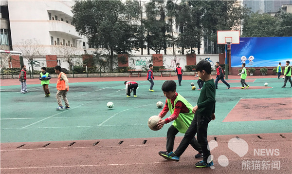 成都足球场地调查,成都足球青少年现状