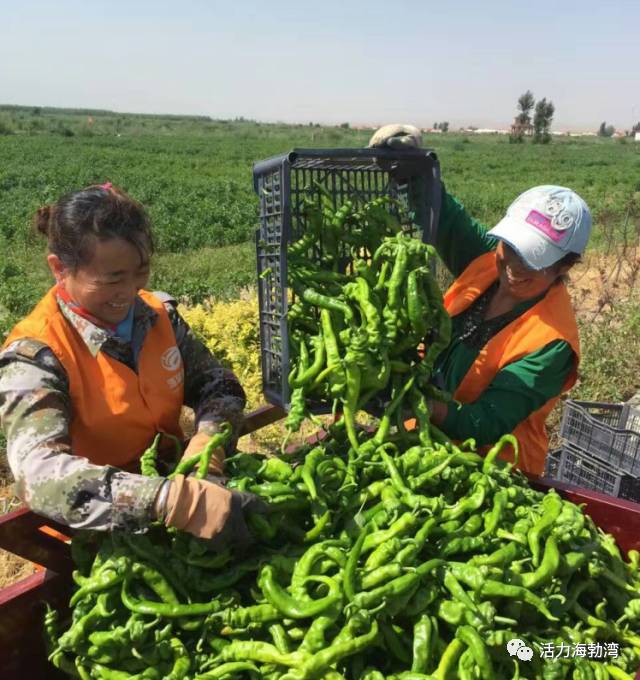 献给豁达善良知性的女人,献给所有温柔善良的女性