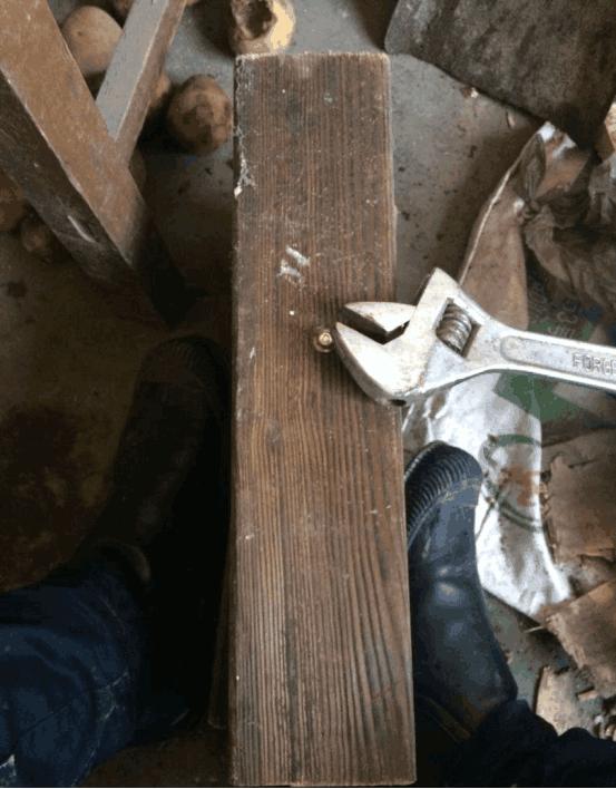 多肉可以用木头种植吗,在家养多肉省钱的最高境界