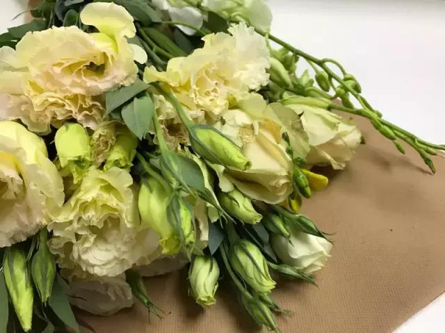 我们用1000元的教训告诉你:包月鲜花全是坑!一家都不推荐!