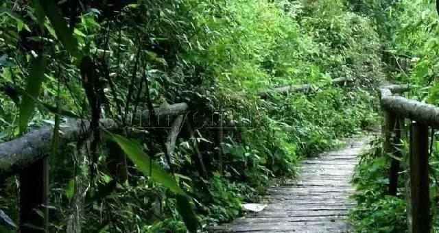 定个小目标100天,定个小目标完整版