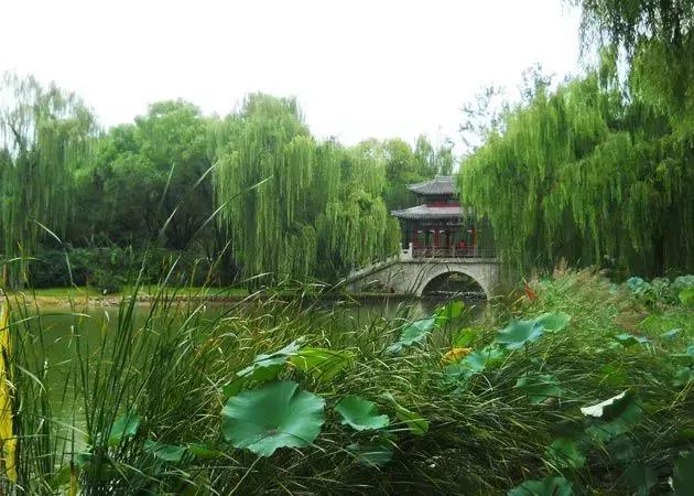 盘点北京38个森林公园,定个小目标完整版免费