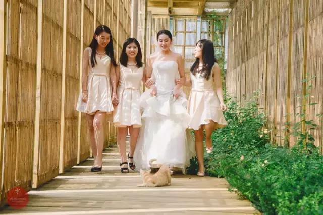 春天办婚礼，不来一场这样的浪漫，你的良心不会痛吗？