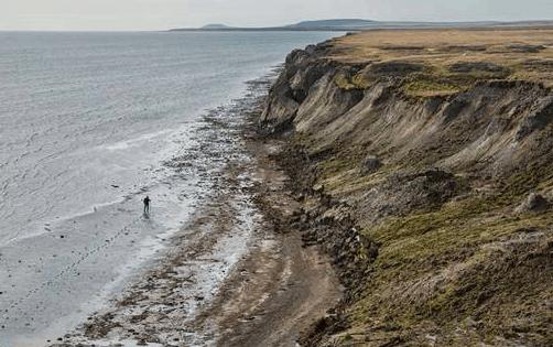 俄罗斯挖猛犸象牙视频 (俄罗斯开采猛犸象牙吗)