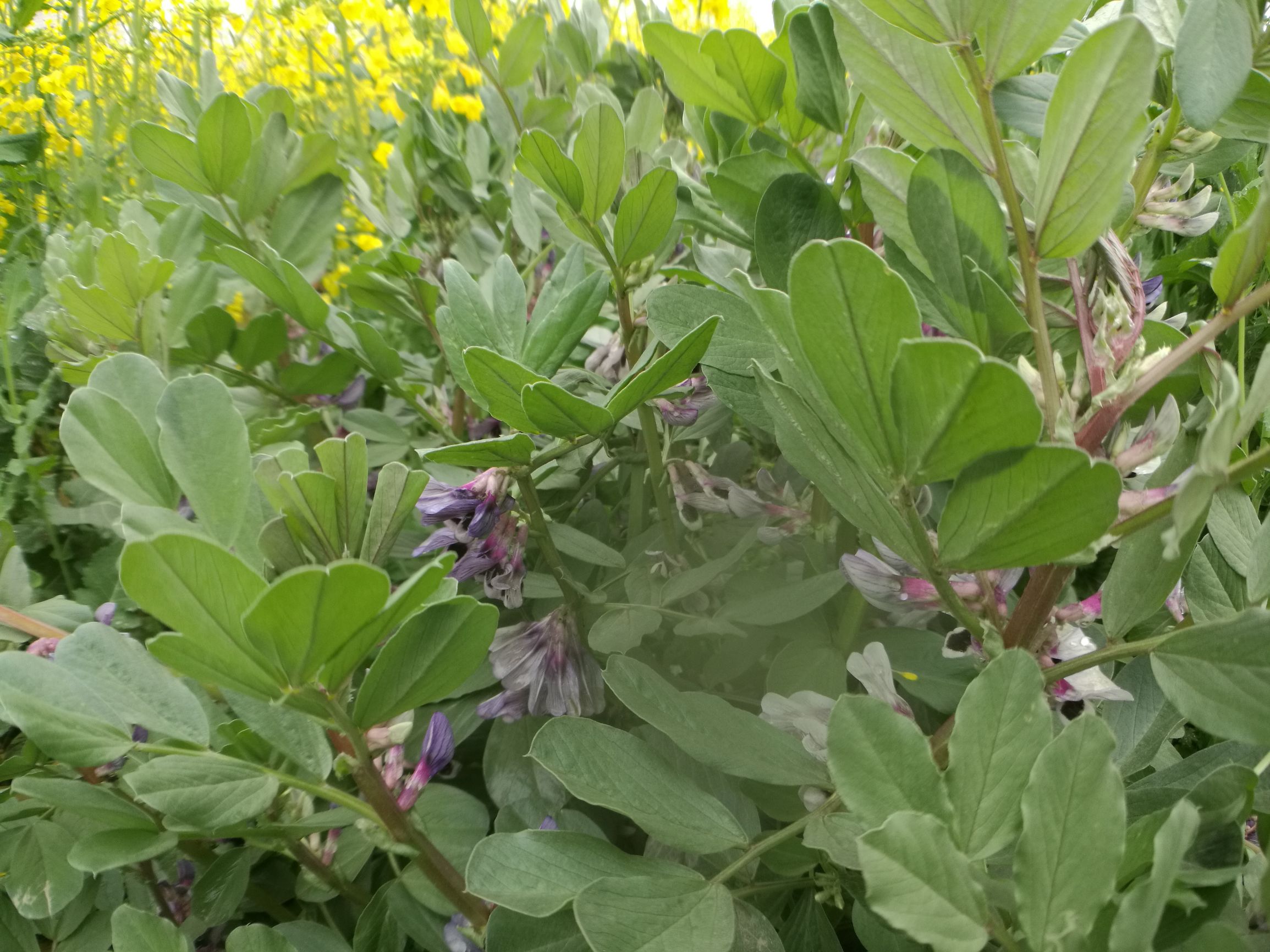 第三天，错过宿营地！「千里走单骑X2」零经验骑行者的日记！