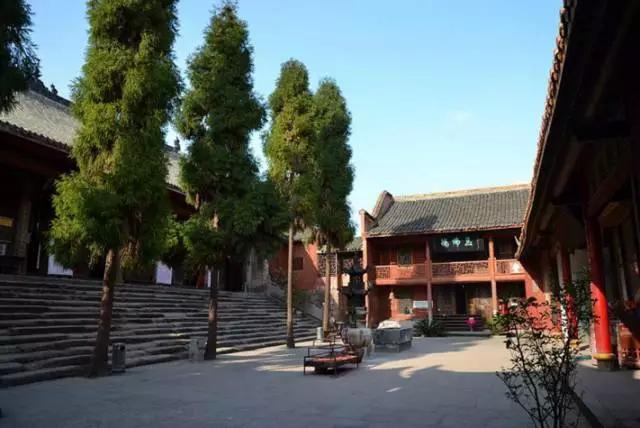 成都春季爬山踏青赏花一日游,成都周边踏青二日游自驾游