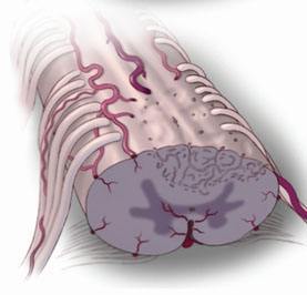 中国残疾人福利会,中国残疾人福利基金会公益项目