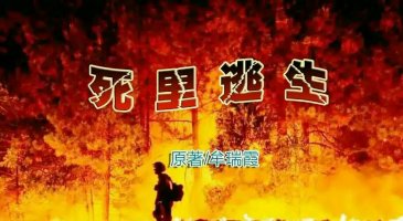 死里逃生42集完整版,死里逃生的瞬间