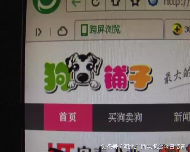 说说你网购时发生的趣事,网购的说说