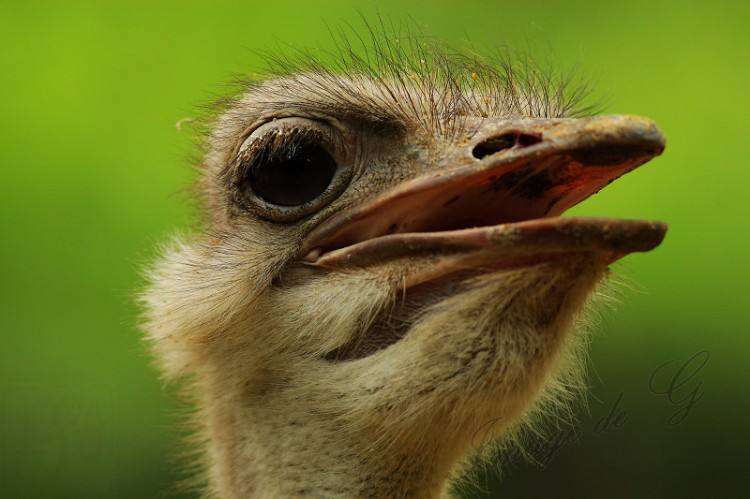 小牛喂鲸鱼奶,一天增重近两百斤!这些冷姿势,简直亮瞎眼