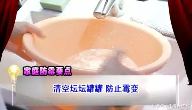 回南天是如何产生霉菌的,回南天霉菌