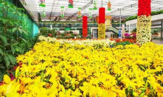 江油值得一逛,江油小城美不美