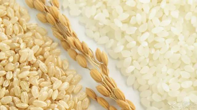 先进的人造大米是什么做的,怎样区分人造大米和自然米