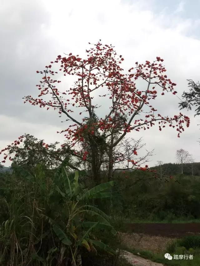 凭祥摩旅 (大兴安岭摩旅)