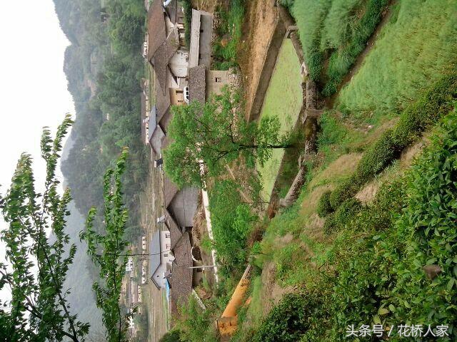 石柱花桥风景区,秭归县石柱村花桥