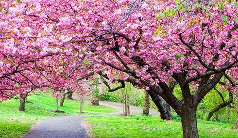 春天皮肤病注意什么,春天易发的皮肤病有哪些
