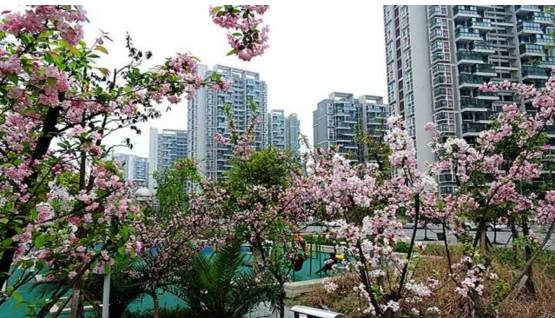 江油值得一逛,江油小城美不美