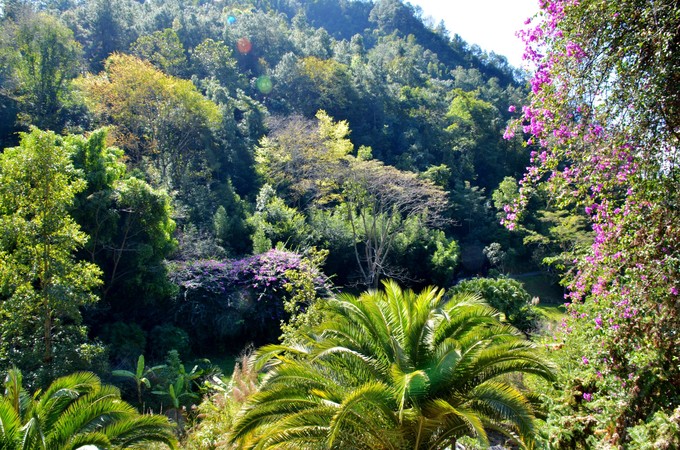 云南秋天看日落最好的地方,云南绝美秋色