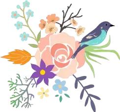 国货性价比高的化妆品,国货新彩妆礼盒开箱价格