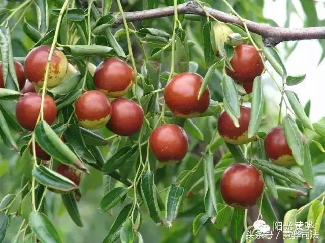 爱家乡的感受,爱家乡的美食美景