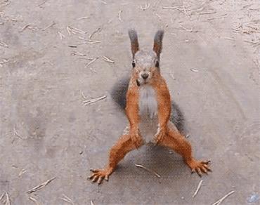 车可以不要,但炸鸡得留下