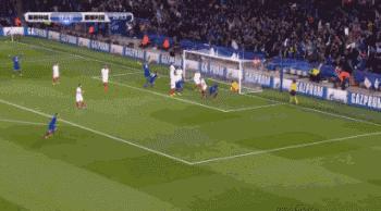 熟悉又陌生的蓝狐，会是下一支蓝军吗