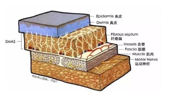 超声刀和热拉提,热玛吉超声刀热拉提哪个好