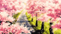 花的海洋让人心情愉悦,花的海洋真实图片大全