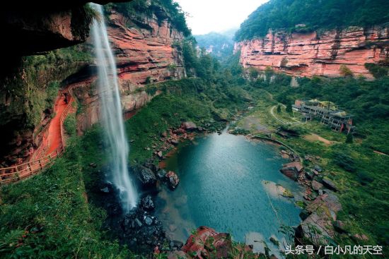 男子救下一只大雁,男子救了一只小白狼