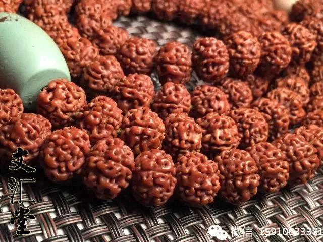 金刚圈子里混三年，这些品种都够呛能认全！