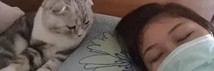 猫咪磕掉一点牙,猫咪磕掉半颗牙