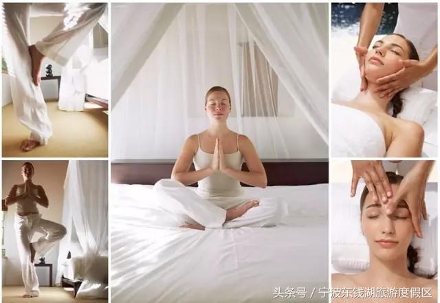 花讯播报泡汤赏花SPA住客房，只在南苑花博园！