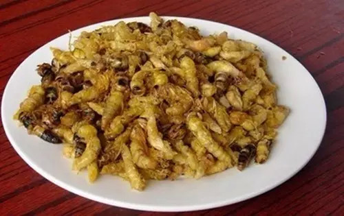 西双版纳旅游好吃的,西双版纳旅游好吃的水果