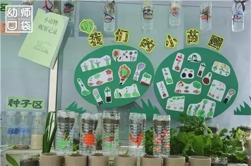 自然生态特色幼儿园,国际幼儿园自然角