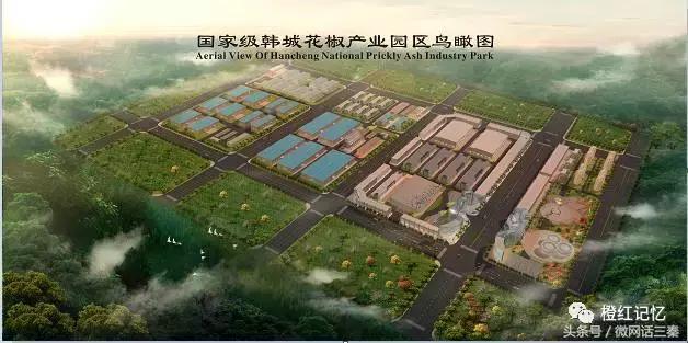 韩城花椒历史文化 (韩城花椒最多的地方是哪里)