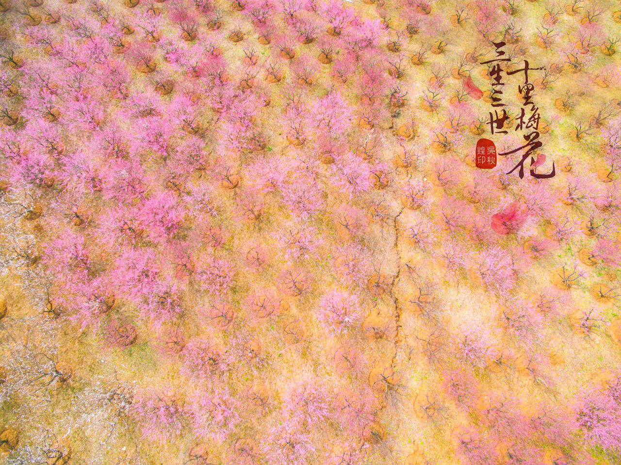 三生三世,十里梅花,遇见张家港