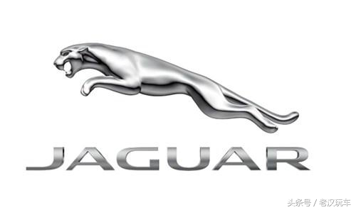 动物世界里的汽车品牌,动物世界汽车版