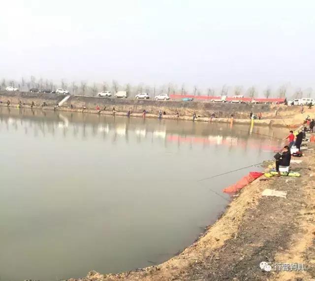 全国钓鱼大赛德州站结果,淮北钓鱼比赛直播