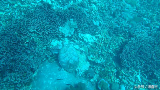 体验过你从未体验过的情感,体验你没体验过的人生