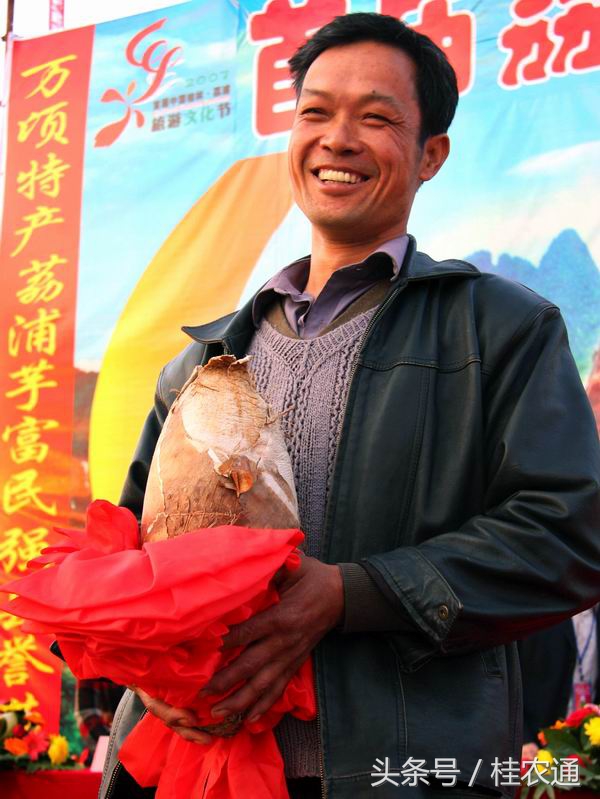 广西荔浦芋土特产,广西荔浦芋荷