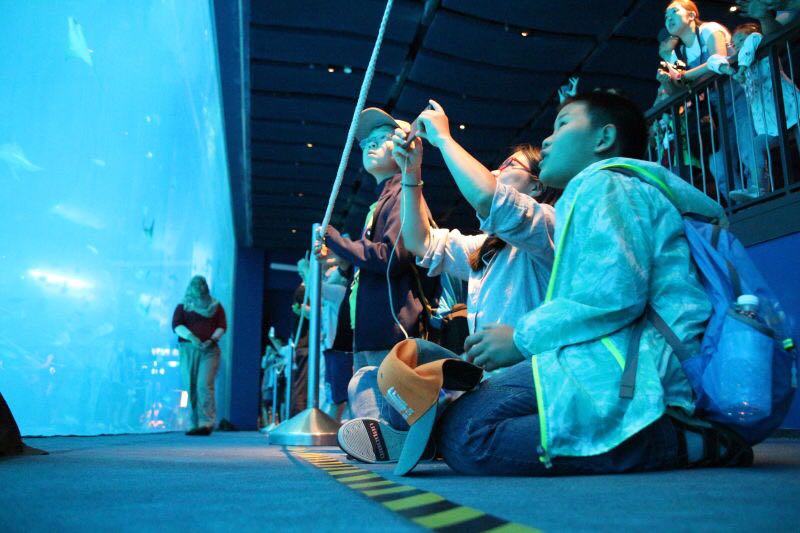 小样故事｜欣动派创始人周智勤：开启教育奇幻之旅的情怀创业人