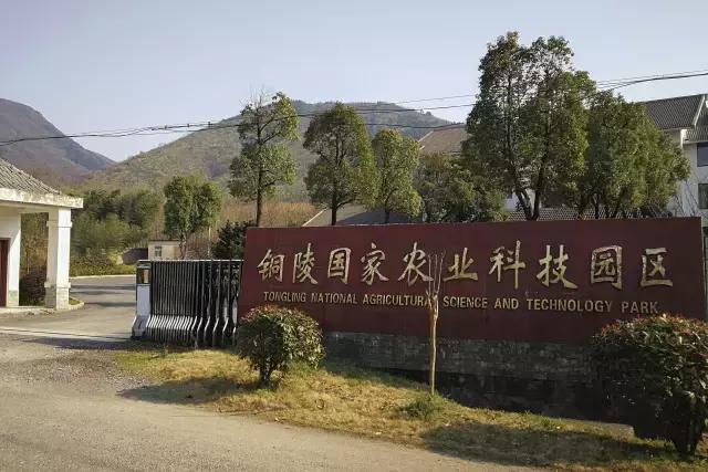 铜陵市顺安镇在铜陵怎么样,铜陵顺安镇