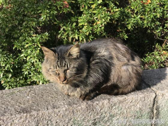 小米手机中的拍照大师——小米Note2开箱评测