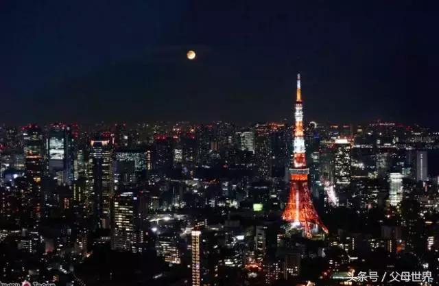 一个从来没用过童车的爸爸抱着孩子去日本水族馆吓人了!