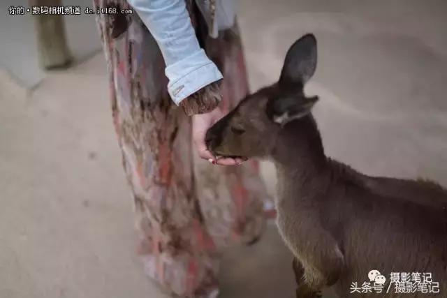 索尼a9拍摄剧照,我与索尼相机近20年的情缘