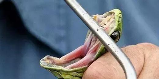 这些东西比鬼还可怕，而且任何人都有可能遇到！