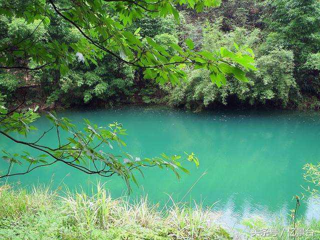 九龙坡网红景点有哪些,九龙坡十大必去景点免费
