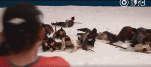 深扒影视圈背后你不知道的*规则潜**,离开特效的爱豆们还好吗?